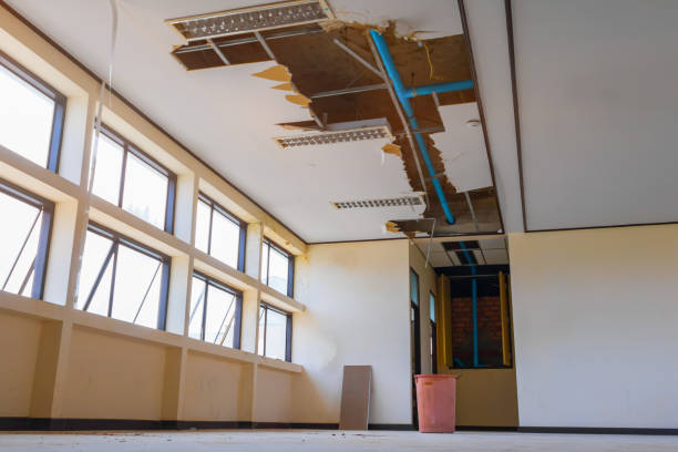Best Water damage contractors near me  in Taylorsville, NC