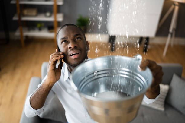 Best Basement water damage restoration  in Taylorsville, NC