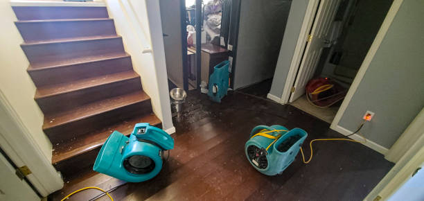 Best Residential water damage restoration  in Taylorsville, NC