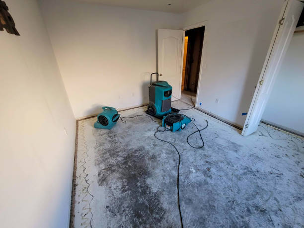 Best Water damage restoration near me  in Taylorsville, NC