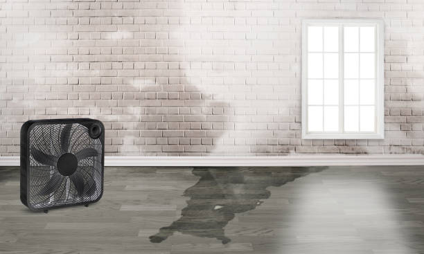 Best Commercial water damage restoration  in Taylorsville, NC