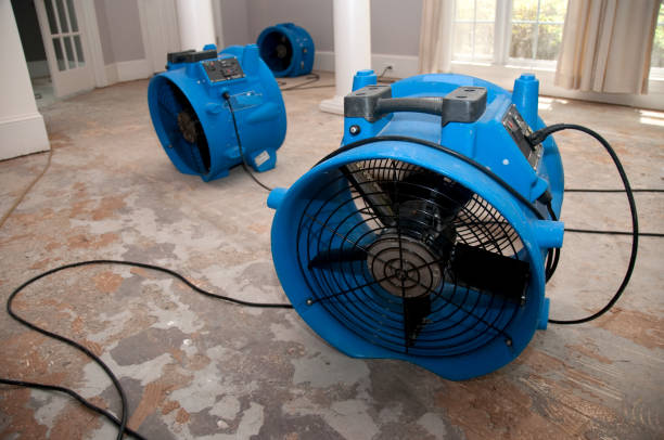 Best Water damage contractors near me  in Taylorsville, NC