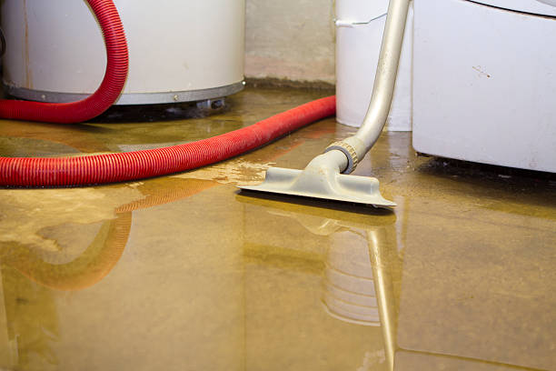 Best Water damage restoration process  in Taylorsville, NC